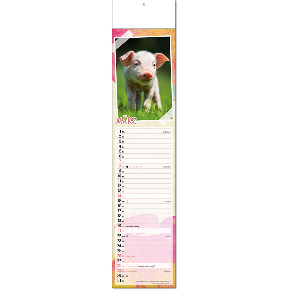 c_tierbabys_falzel_03.jpg