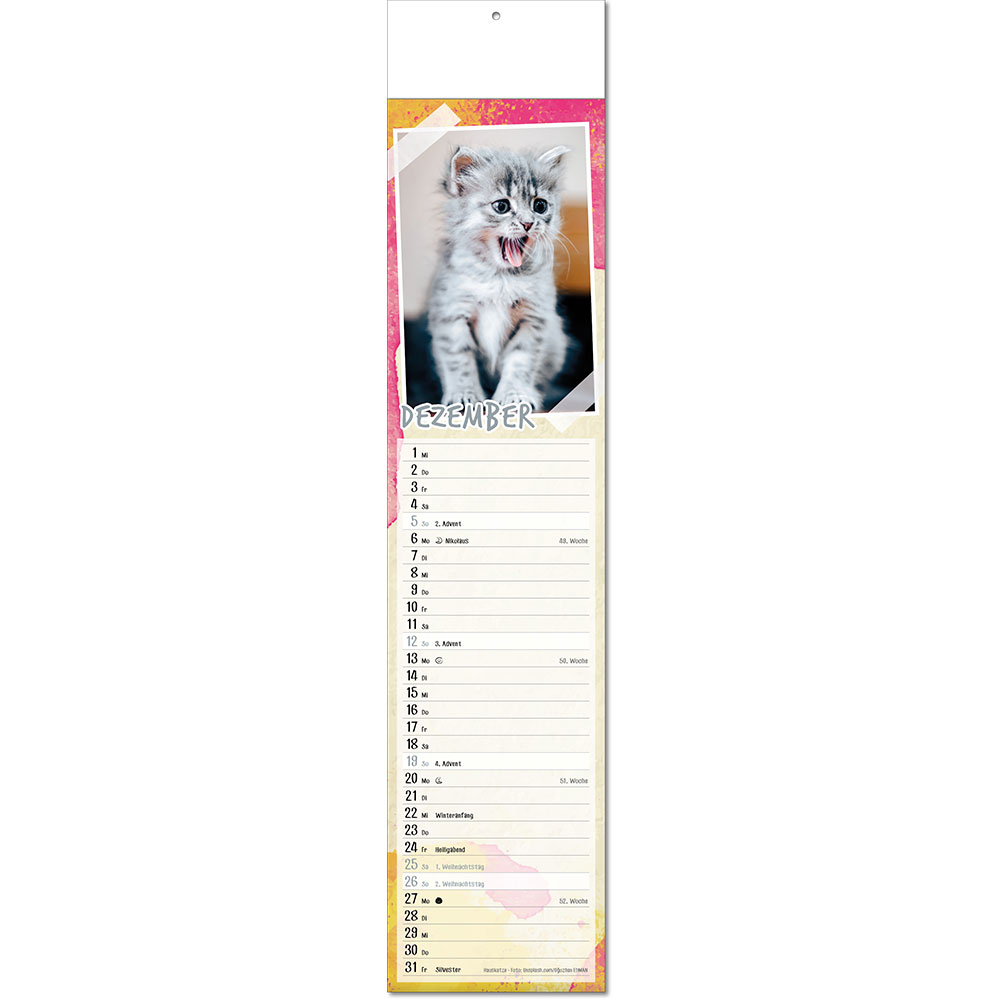 c_tierbabys_falzel_12.jpg